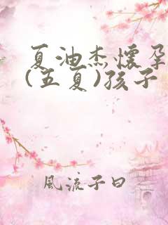 夏油杰怀孕小说(五夏)孩子