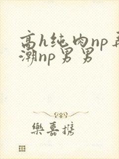 高h纯肉np弄潮np男男