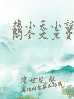 杨小天小说笔趣阁全文免费阅读