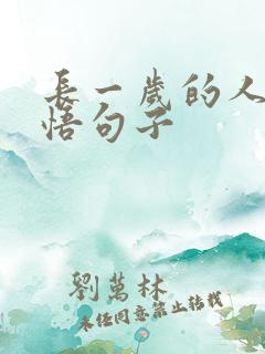 长一岁的人生感悟句子