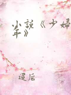 小说《少妇与少年》