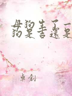 母狗生了一只小狗是吉还是凶