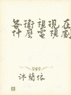 各卫视现在演的什么电视剧