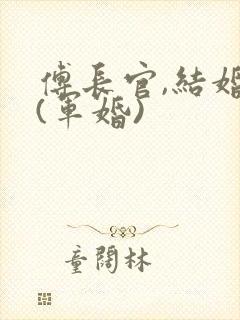 傅长官,结婚吧(军婚)