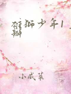 雄狮少年1 豆瓣