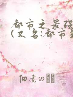 都市之最强狂兵(又名:都市狂枭 )