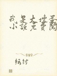 我是大坏蛋原著小说免费阅读