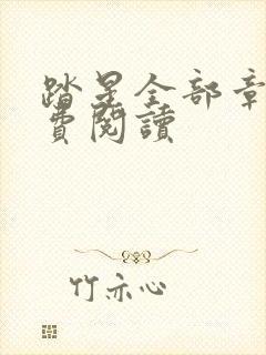 踏星全部章节免费阅读