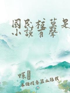 国民校草是女生小说有声