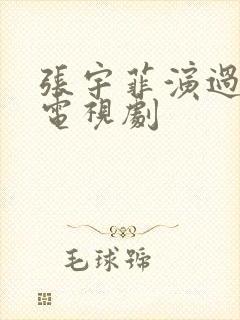 张宇菲演过哪些电视剧