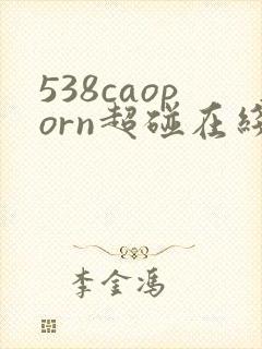 538caoporn超碰在线播放
