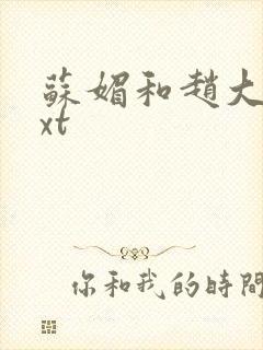 苏媚和赵大宝txt