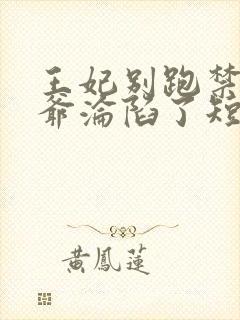王妃别跑禁欲王爷沦陷了短剧免费观看