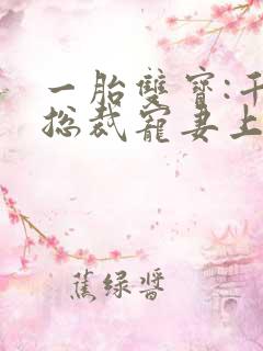 一胎双宝:千亿总裁宠妻上瘾