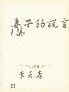 妻子的谎言第41集