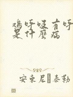 鸡呼吸有呼噜声是什么病