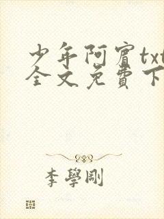 少年阿宾txt全文免费下载