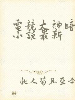 电竞大神暗恋我小说最新