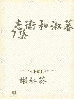 老卫和淑蓉1一7集
