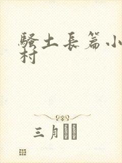 骚土长篇小说老村