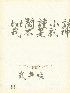 txt阅读小说我不是戏神