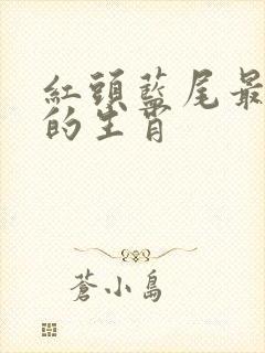 红头蓝尾最准确的生肖