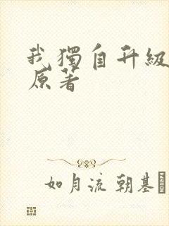 我独自升级小说原著