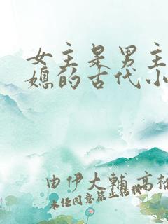 女主是男主的弟媳的古代小说