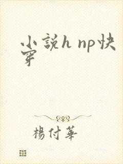 小说h np快穿 小说h np快穿