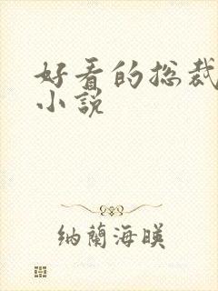 好看的总裁宠文小说