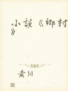 小说《乡村御医》