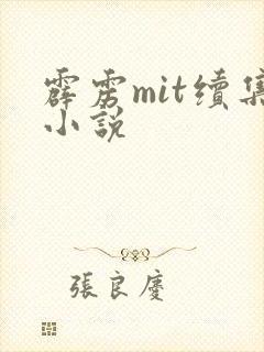霹雳mit续集小说