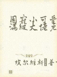 团宠小可爱成了满级大佬免费看