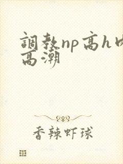调教np高h肉高潮
