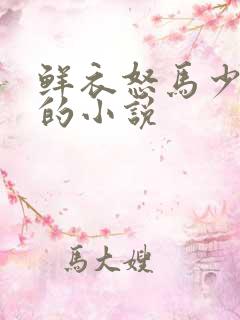 鲜衣怒马少年郎的小说