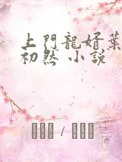 上门龙婿叶辰萧初然 小说