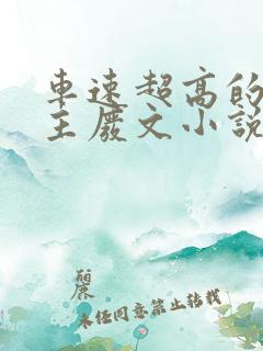 车速超高的双男主废文小说