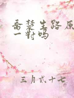乔楚生路原著是一对吗