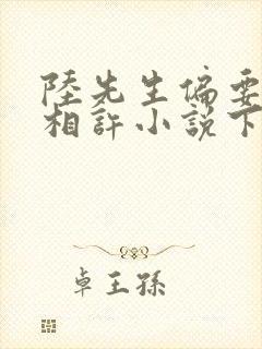 陆先生偏要以婚相许小说下载txt
