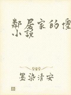 邻居家的傻小子小说