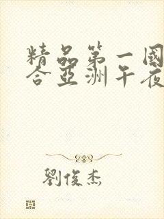 精品第一国产综合亚洲午夜
