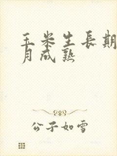 玉米生长期几个月成熟