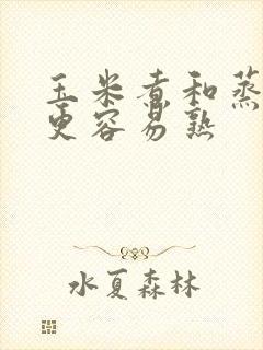 玉米煮和蒸哪个更容易熟