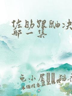 佐助跟鼬决战是哪一集