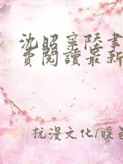 沈昭宁陆聿珩免费阅读最新章节更新