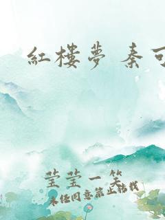 红楼梦 秦可卿