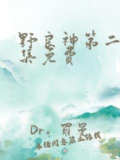野良神第二季全集免费