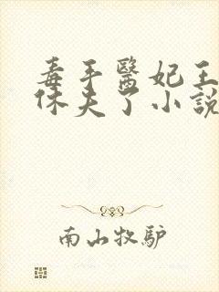 毒手医妃王爷被休夫了小说免费阅读全部章节