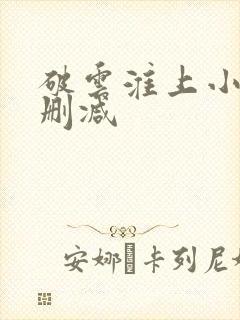 破云淮上小说无删减