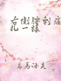 右侧腰刺痛感针扎一样